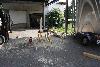006.jpg size(800,533) 87377 Bytes 