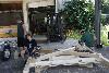 034.jpg size(800,533) 82429 Bytes 