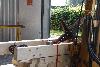 049.jpg size(800,533) 71911 Bytes 