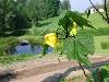 090.jpg size(800,600) 66892 Bytes 