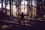 003.jpg size(800,541) 77843 Bytes 
