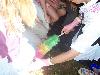 020.jpg size(800,600) 71159 Bytes 