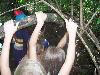 065.jpg size(800,600) 99904 Bytes 