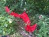 070.jpg size(800,600) 149639 Bytes 