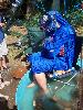 091.jpg size(600,800) 120680 Bytes 