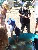 095.jpg size(600,800) 96076 Bytes 