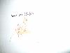 012.jpg size(800,600) 17855 Bytes 